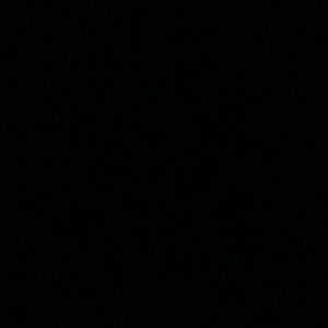 Meet your Posher, Beverly